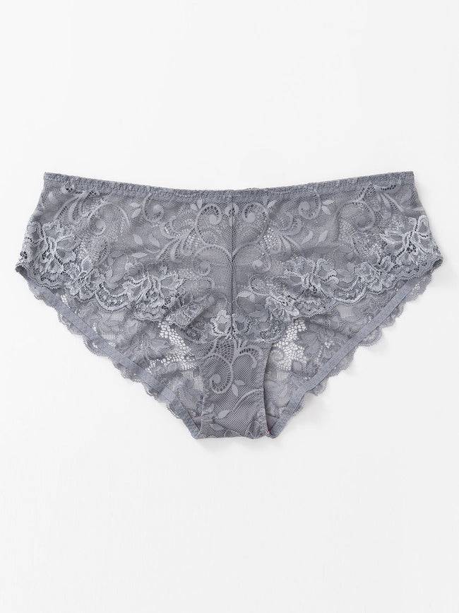 Stretch Sexy Lace Cheeky Hipster Panty - WingsLove